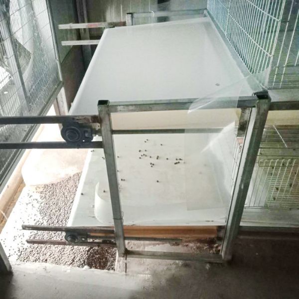 兔用自動清糞機